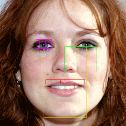 Beauty and proportion in human face showing phi and golden ratio
