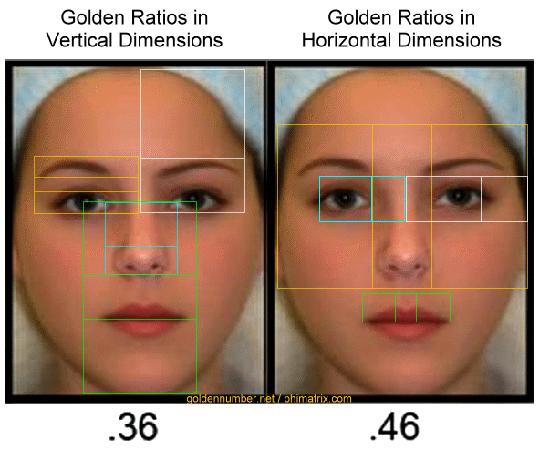 face-new-golden-ratio-beauty-proportions.gif