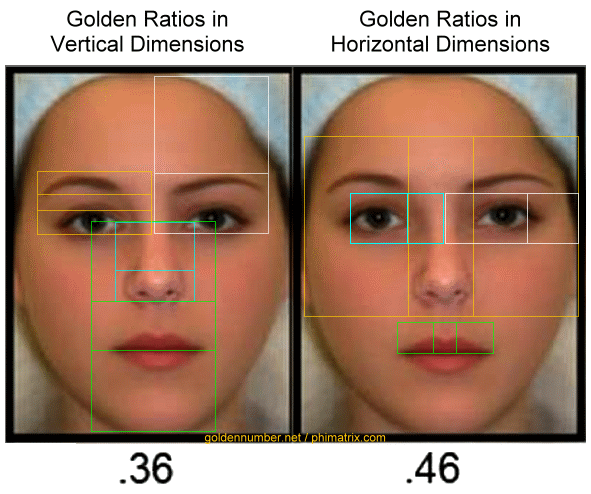 Facial Ratio 21