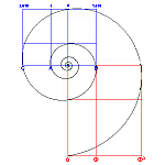 nautilus golden ratio spiral with 180 degree rotation