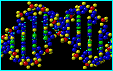 DNA and phi, the golden proportion, in the dimensions of its spirals