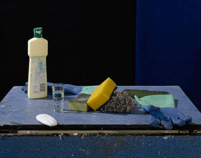 Peter Abrahams Vanitas: Cleaning, Rose Award Winner