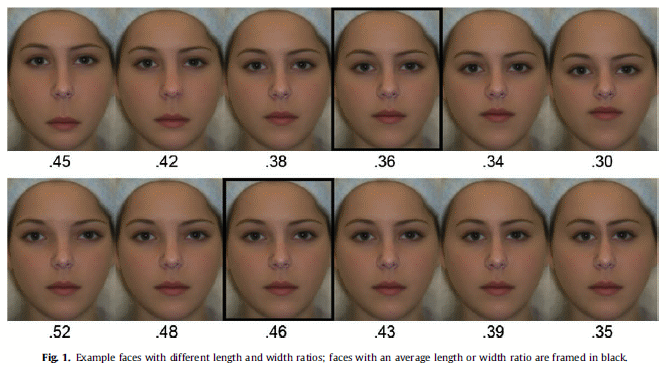 Facial variations in 2009 study of new golden ratio