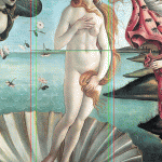 Bottocelli's Birth of Venus and golden ratio of navel