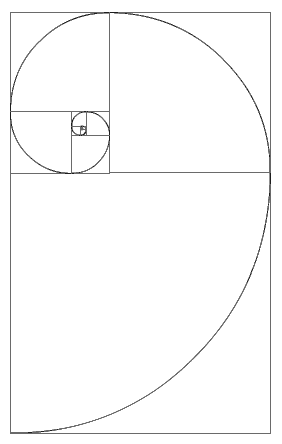 The Nautilus Shell Spiral As A Golden Spiral