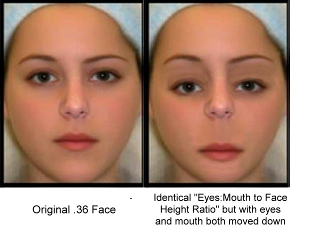 Attractive facial characteristics