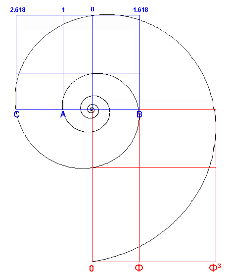 The Nautilus Shell Spiral As A Golden Spiral