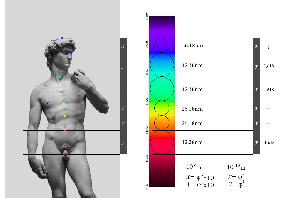 7 chakras body wavelengths colors golden ratio by Kalana Dido