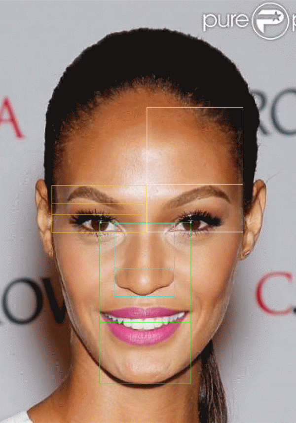 goldenratio face software goldenratio face software
