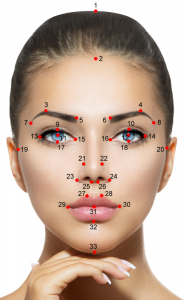 Meisner-Beauty-Guide-Golden-Ratio-Facial-Beauty-Analysis-Markers