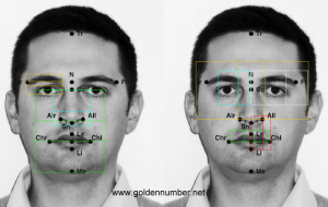 Sforza-Rossetti-golden-ratio-facial-analysis