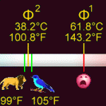 body-temperatures-150x150