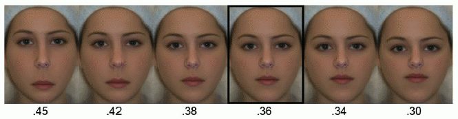 Facial Beauty and the “New” Golden Ratio (or is it just 1.618?)