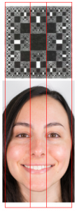 facial-proportion-at-1.618-ratio-vertical
