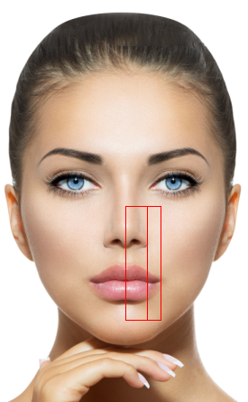 meisner-beauty-template-07a-lips-nose