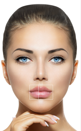 meisner-beauty-template-07a-lips