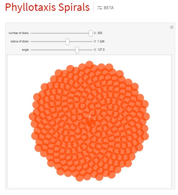 phyllotaxis animation wolfram