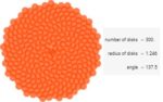 phyllotaxis golden angle
