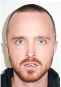 vertical golden ratio aaron paul