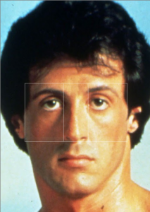 vertical golden ratio sylvester stallone